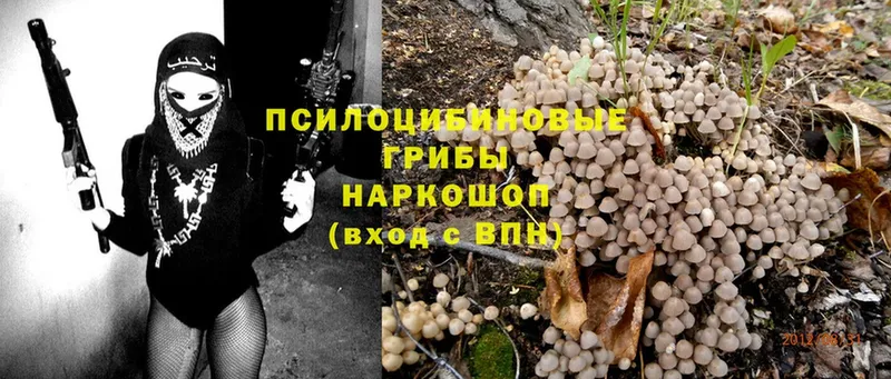 МЕГА зеркало  Правдинск  Галлюциногенные грибы Magic Shrooms 